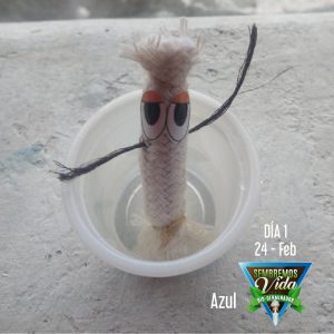 Azul - día 1