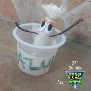 Azul - día 1