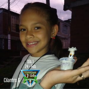 Cilantro G - día 1