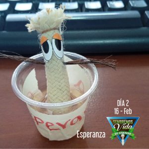 Esperanza - día 2 - 16 Feb