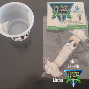 Michu - día 1