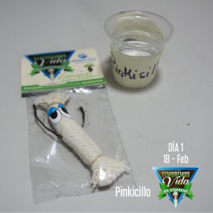 Pinkicillo - día 1 - 18 Feb
