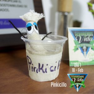 Pinkicillo - día 1 - 18 Feb