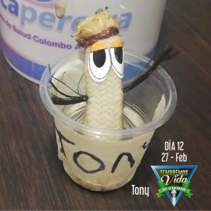 Tony - día 12