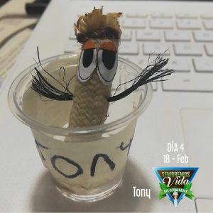 Tony - día 4