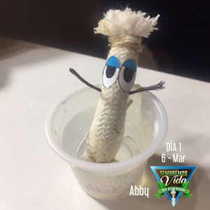 Abby - día 1