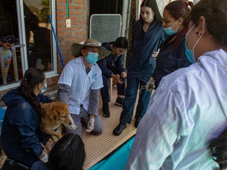 Escapereira Técnicos Laborales Área de la Salud Técnico Auxiliar en Clínica Veterinaria
