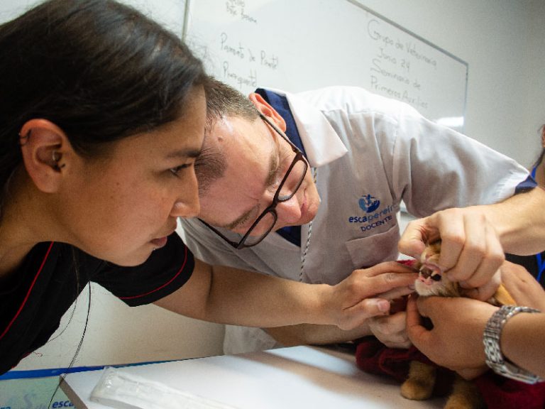 Escapereira Técnicos Laborales Área de la Salud Técnico Auxiliar en Clínica Veterinaria