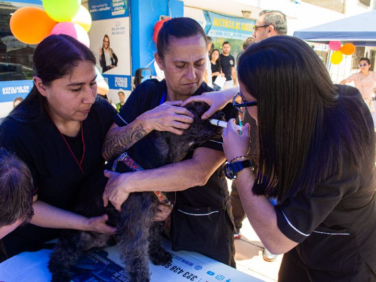 Escapereira Técnicos Laborales Área de la Salud Técnico Auxiliar en Clínica Veterinaria