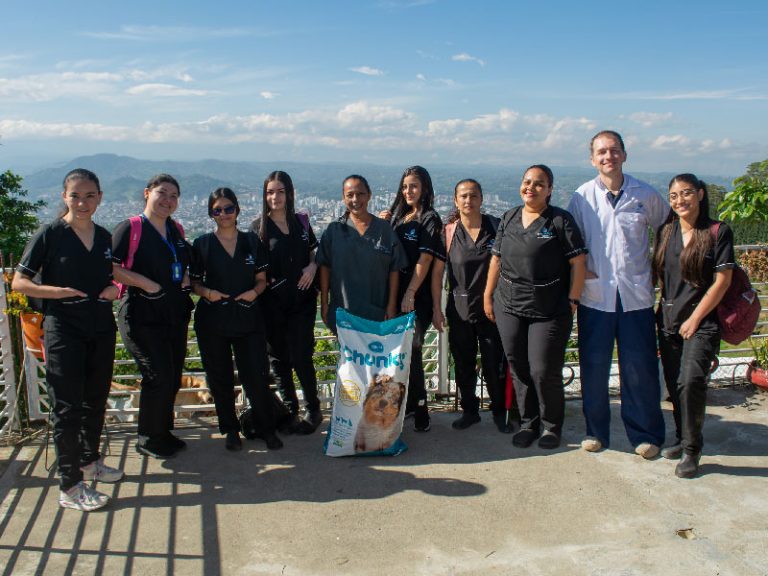 Escapereira Técnicos Laborales Área de la Salud Técnico Auxiliar en Clínica Veterinaria