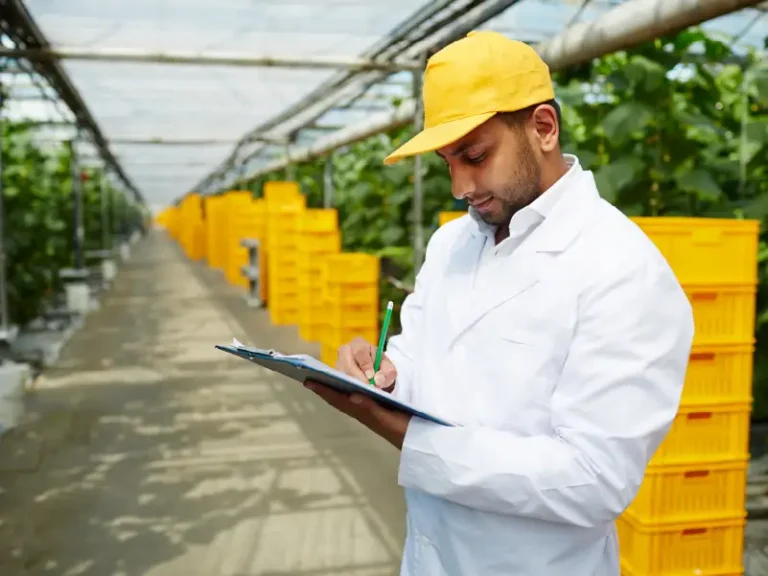 esca-agro-ta-_practica-2