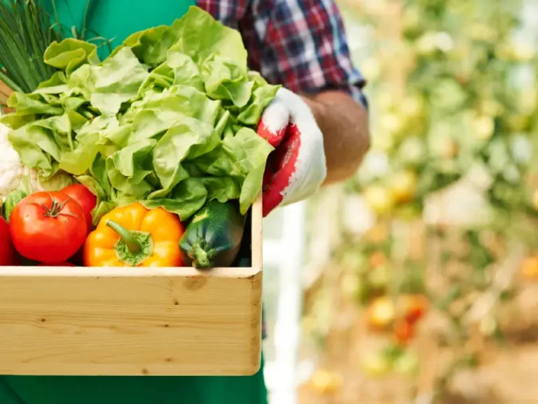 esca-agro-ta-_practica-3