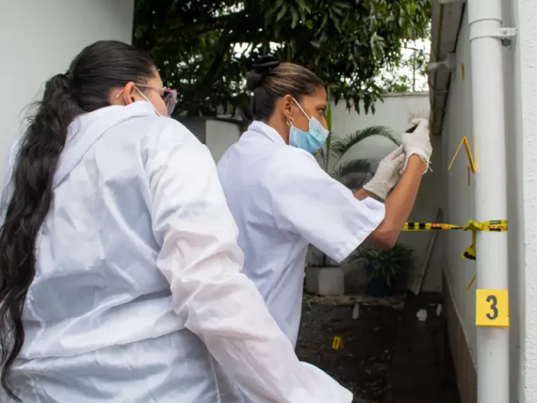 esca-judicial-tc-_practica-3