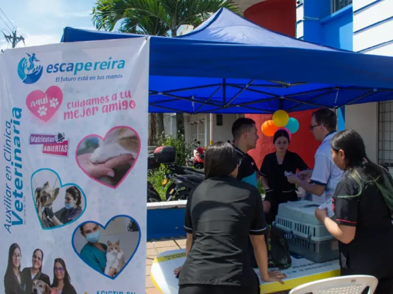 esca-salud-acv-_practica-1