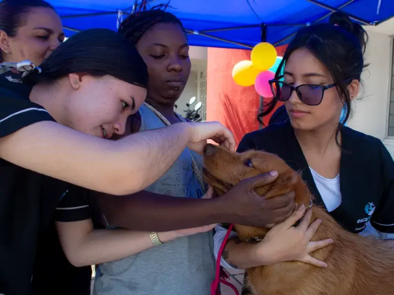 esca-salud-acv-_practica-2