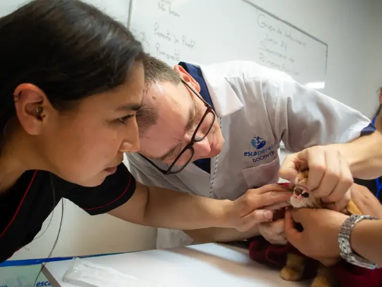 esca-salud-acv-_practica-5