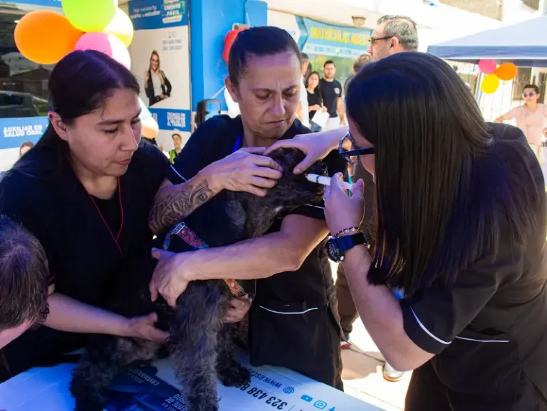 esca-salud-acv-_practica-6