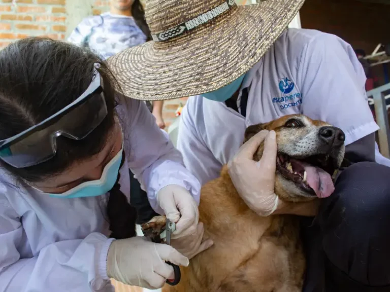 esca-salud-acv-_practica-9